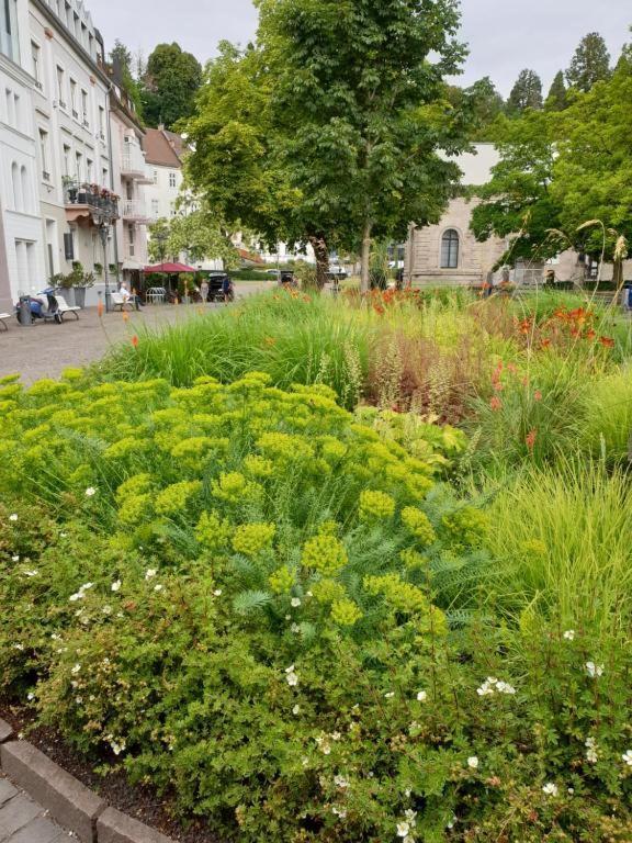 Apartment An Der Therme *